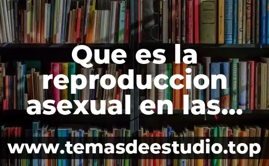 Que es reino animal asexual 8 Que es la reproduccion asexual en las plantas ejemplos