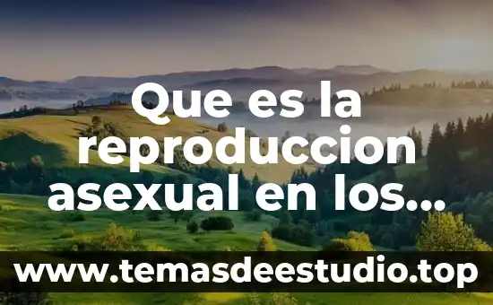 Que es reino animal asexual 4 Que es la reproduccion asexual en los seres humanos