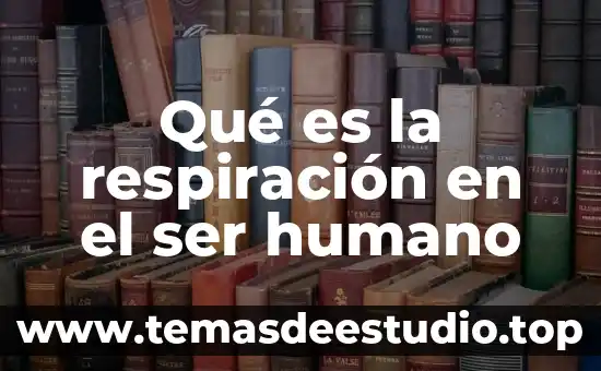 Que es el arte humano 6 Qué es la respiración en el ser humano
