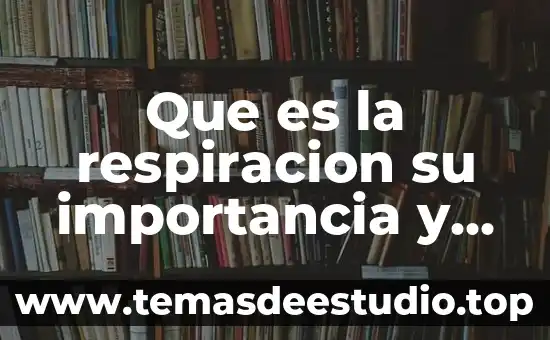 Qué es una ecuación diferencial concepto 4 Que es la respiracion su importancia y su ecuacion quimica