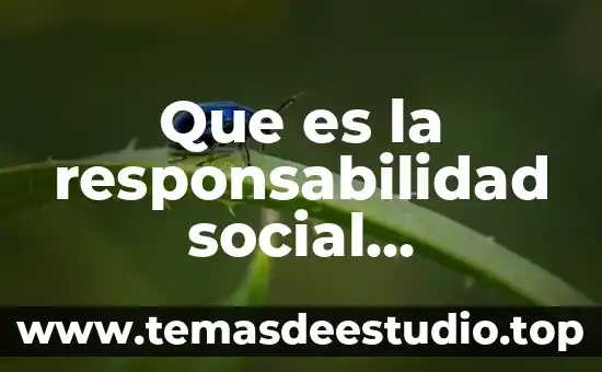 Qué es la cultura empresarial fyle type 5 Que es la responsabilidad social empresarial segun joan costa