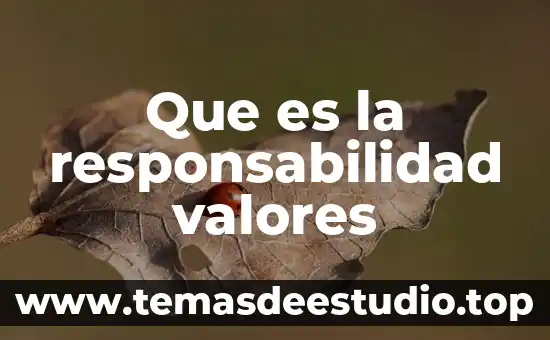 Valores trigonométricos que es 6 Que es la responsabilidad valores