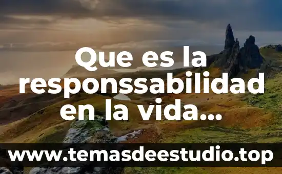Que es la responssabilidad en la vida colectiva