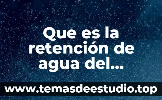 Símbolo de carro que es una W con puntas 5 Que es la retención de agua del mortero