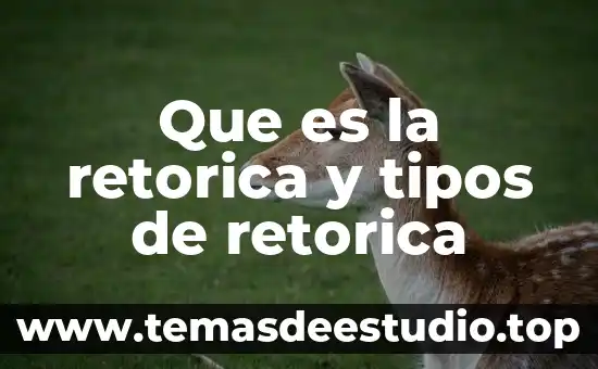 Que es ocio tipos 3 Que es la retorica y tipos de retorica