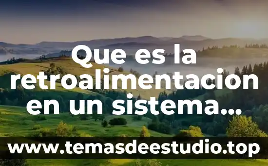 Que es comision bancaria y de valores 8 Que es la retroalimentacion en un sistema de control