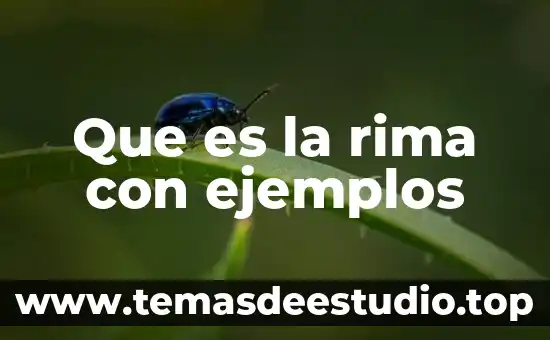 Qué es una rima 3a primaria 3 Que es la rima con ejemplos