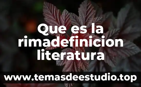 Que es la rimadefinicion literatura