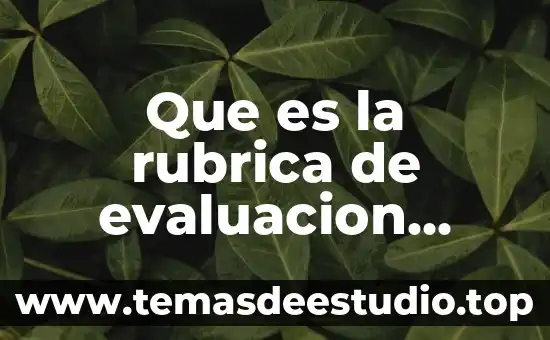 Que es la rubrica de evaluacion cualitativa