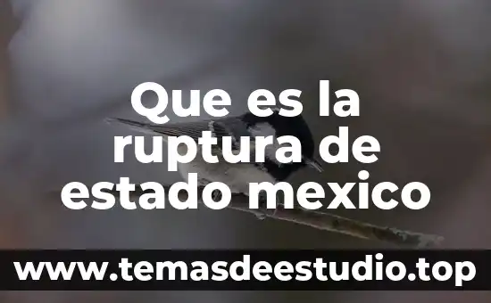 Qué es estado físico en química 6 Que es la ruptura de estado mexico