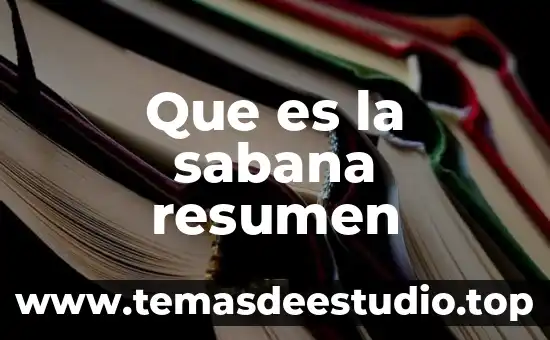 Que es materia resumen 6 Que es la sabana resumen