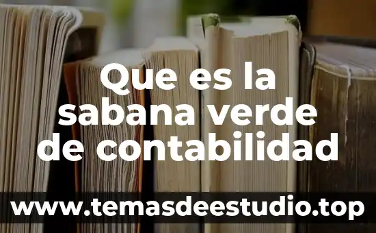 Que es el area de conocimiento en contabilidad 7 Que es la sabana verde de contabilidad