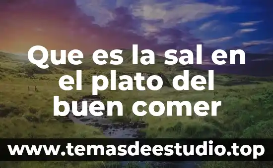 Por que es imortante el plato del bien comer 5 Que es la sal en el plato del buen comer