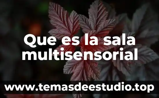 Que es una sala de chat irc 6 Que es la sala multisensorial