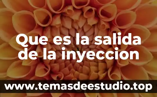 Que es la salida de la inyeccion