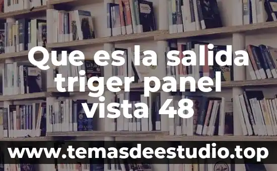 Que es señal de entrada y salida 5 Que es la salida triger panel vista 48
