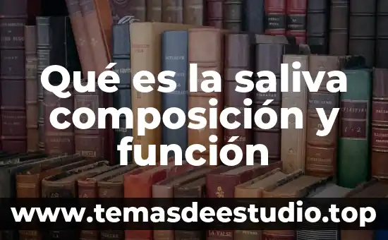 Qué es la cultura según la antropología 3 Qué es la saliva composición y función