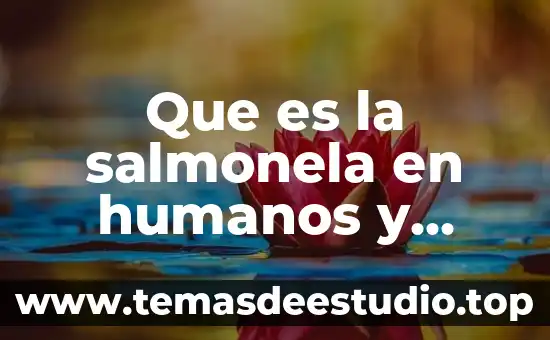 Que es la salmonela en humanos y todo sobre ella