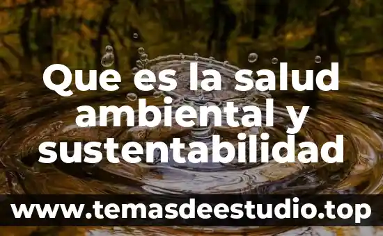 Por que es importante la sustentabilidad en la arquitectura 8 Que es la salud ambiental y sustentabilidad