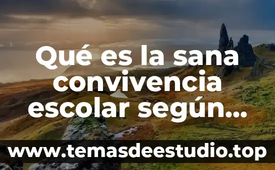 Que es la sociedad de convivencia 7 Qué es la sana convivencia escolar según autores