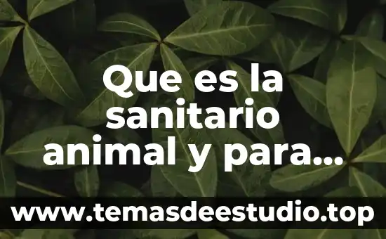 Qué es un registro sanitario en construcción 8 Que es la sanitario animal y para que sirve