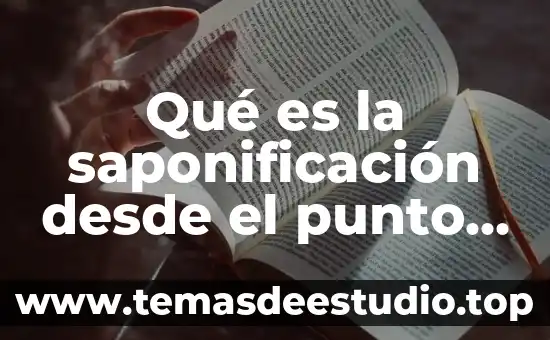 Que es una idea desde el punto de vista empresarial 3 Qué es la saponificación desde el punto de vista químico