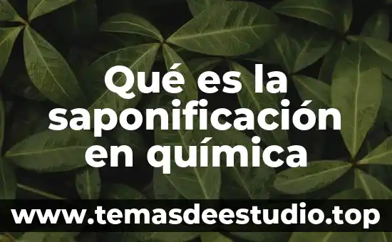 Qué es la saponificación en química