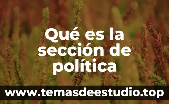 Que es fondo sección serie y unidad documental 5 Qué es la sección de política