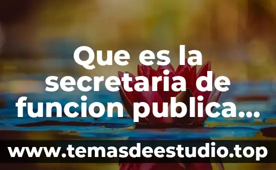 Que es la secretaria de funcion publica mision y vision