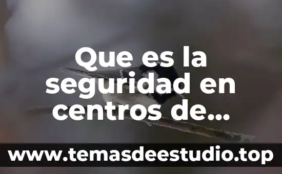 Instituto mexiquense de seguridad y justicia que es 8 Que es la seguridad en centros de computo
