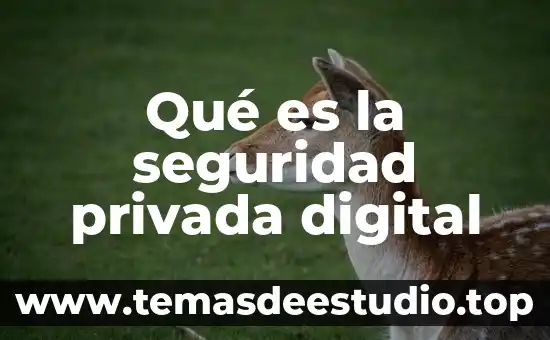 Justicia publica y privada que es 5 Qué es la seguridad privada digital