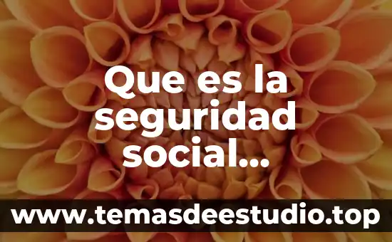 Que es vivienda social arquitectura 7 Que es la seguridad social sustitutoria del salario