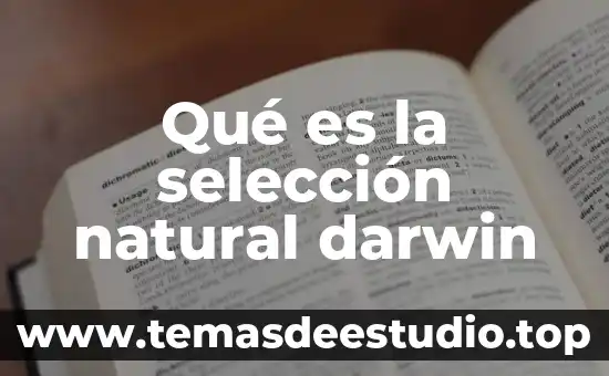 Qué es la teoría de Darwin y qué la compone 5 Qué es la selección natural darwin