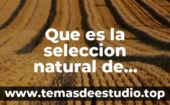 Qué es la teoría de Darwin y qué la compone 6 Que es la seleccion natural de carlos darwin