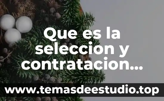 Que es la entrevista personal en la tecnica cualitativa 7 Que es la seleccion y contratacion de personal segun autores