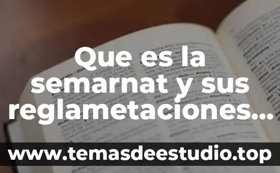 Que es una sociedad en comandita por acciones en mexico 6 Que es la semarnat y sus reglametaciones en mexico