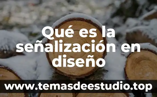 Que es ser sujeto politico 6 Qué es la señalización en diseño