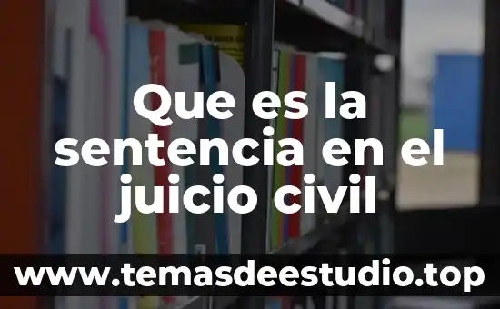 Que es la sentencia en el juicio civil