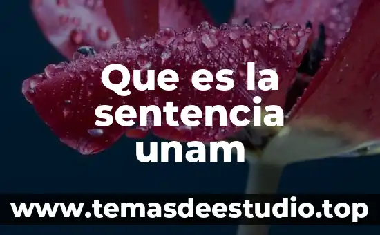 Que es el principio pro persona unam 5 Que es la sentencia unam