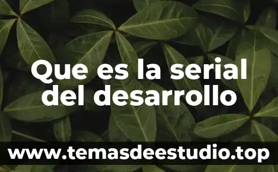 Que es la serial del desarrollo