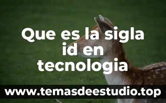 Qué es el ID significado de la siglas 4 Que es la sigla id en tecnologia