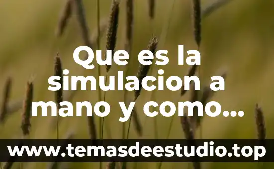 Qué es método de observación y donde se aplica 7 Que es la simulacion a mano y como se aplica