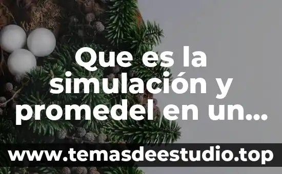Que es un proyecto de investigación conclusión de la importancia 5 Que es la simulación y promedel en un proyecto