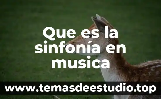 Música andina que es 8 Que es la sinfonía en musica