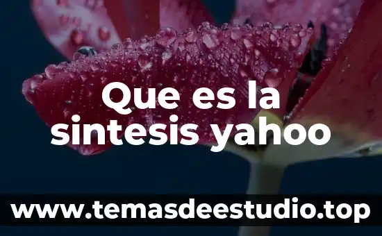 Qué es el rescate selectivo en obra civil 6 Que es la sintesis yahoo
