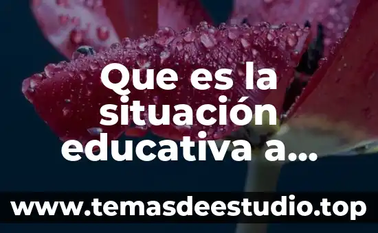 Situación problema que es 7 Que es la situación educativa a intervenir