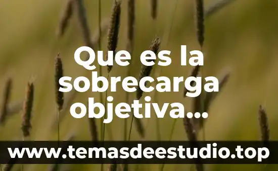 Que es el sindrome de la cabeza plana 8 Que es la sobrecarga objetiva sindrome de down