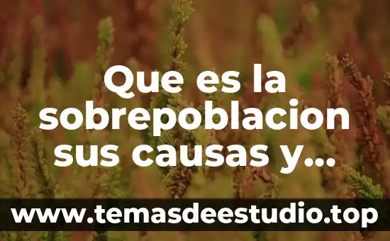Qué es endometriosis causas y consecuencias 4 Que es la sobrepoblacion sus causas y consecuencias