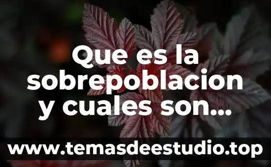 Que es la sobrepoblacion y cuales son sus consecuencias
