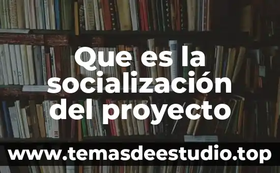 Que es la socialización del proyecto